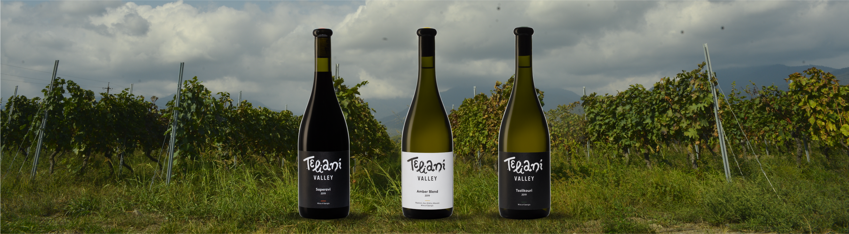 Teliani Valley is launching new wines in the US